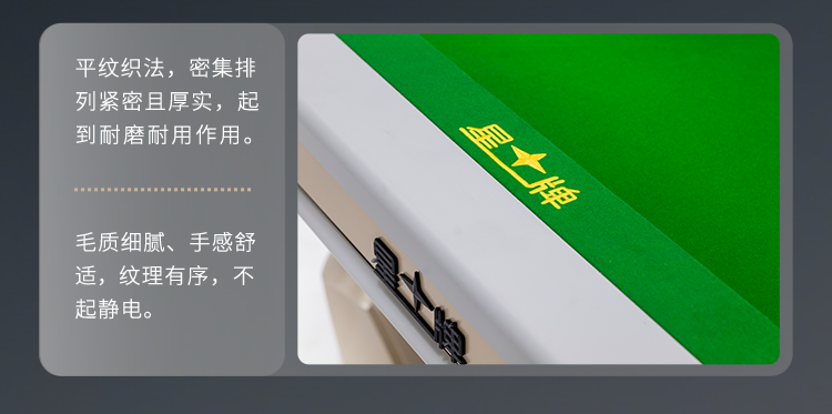 星牌中式台球桌C19白袍型号