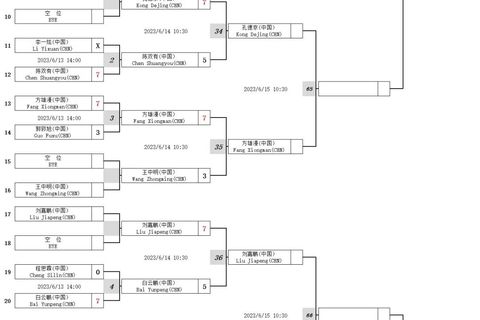 国内男子组、国内女子组、国际男子组资格赛