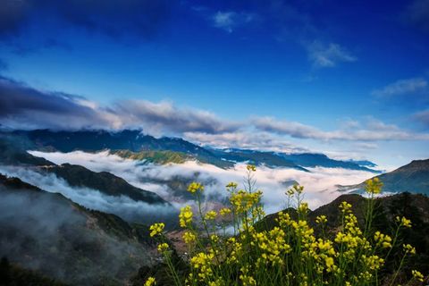 玉山为台球带来什么？台球又让玉山获得什么？