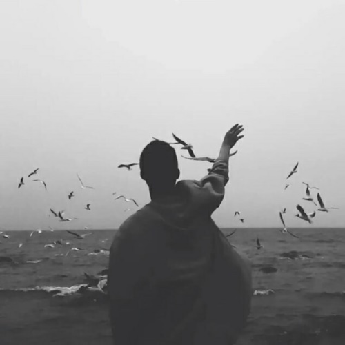 漫卡俱乐部的头像